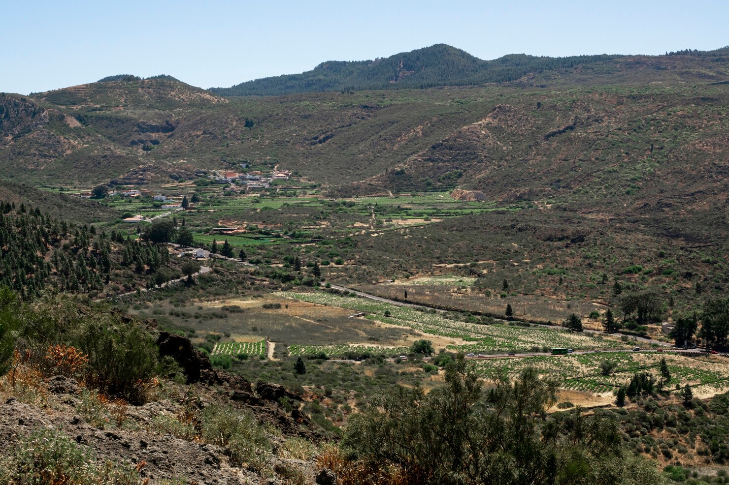 Alicante (10)